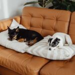 Crucial Considerations for Aspiring Fintech UX Designers